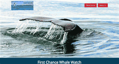 Desktop Screenshot of firstchancewhalewatch.com